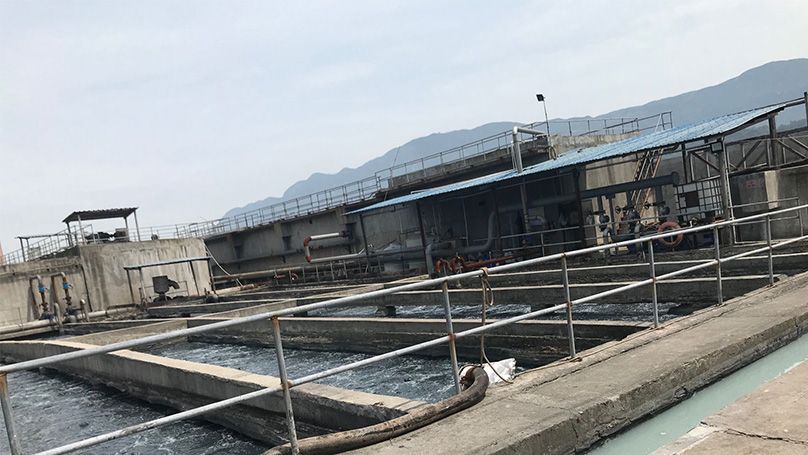年產15000噸蛋白質添加劑技改項目