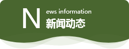 新聞動態